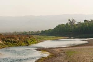 Chitwan. Przepiękny, już płaski krajobraz. Nad rzeką.