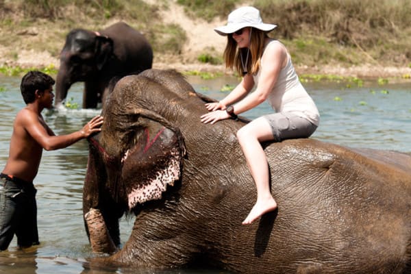 Danka na słoniu